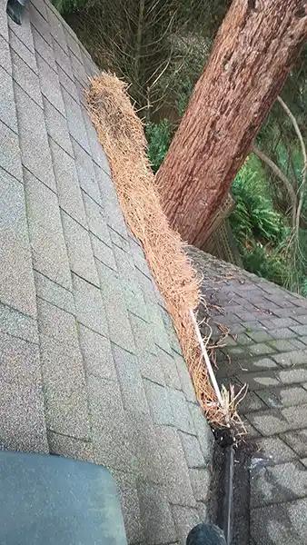 Reliable Gutter Cleaning Gutter Cleaning