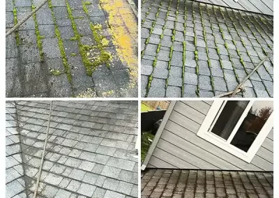 Home Pressure Washing