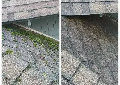 Pressure Washing Services