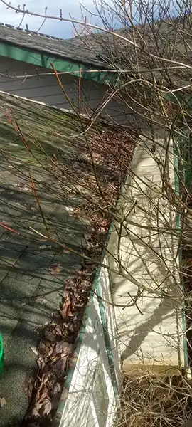 Residential Pressure Washing