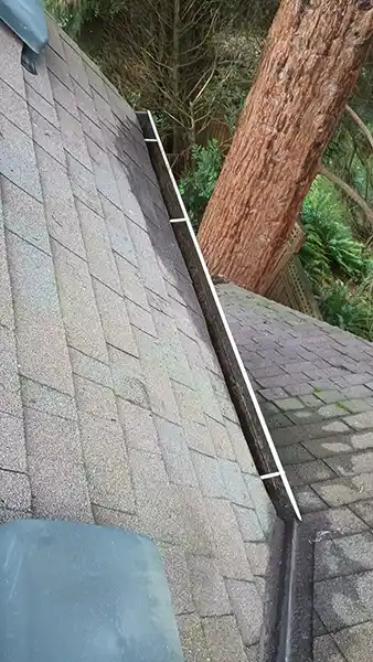 Residential Pressure Washing