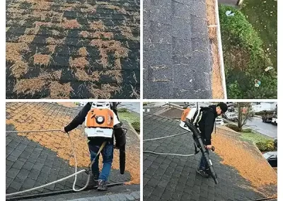 Residential Pressure Washing