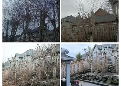 Residential Pressure Washing