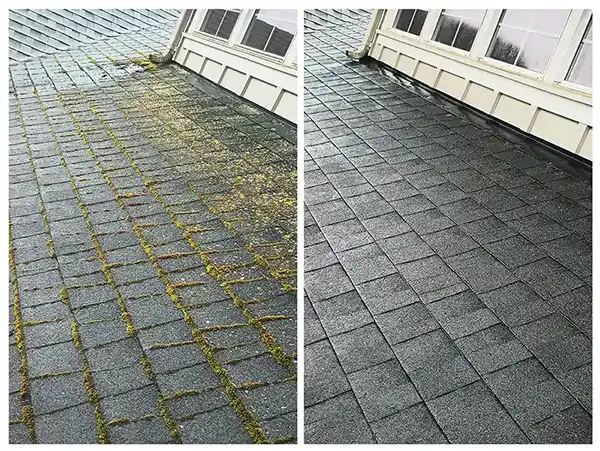 Reliable Roof Cleaning Roof Cleaning