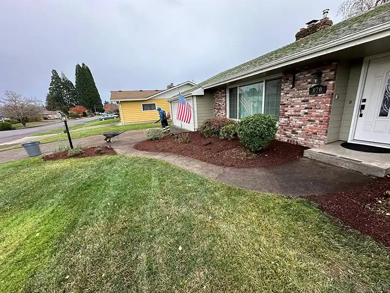 Reliable Yard Cleaning Services Yard Cleaning Services