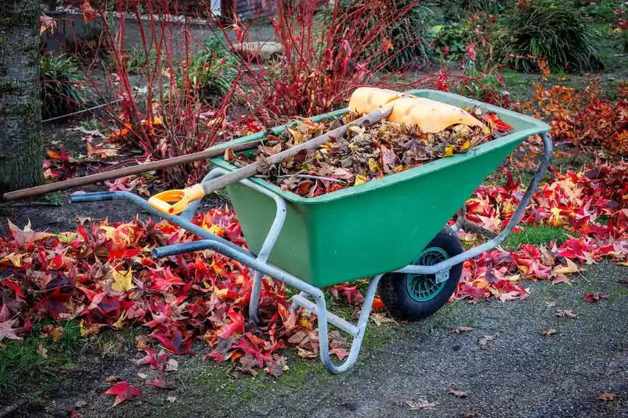 Key Benefits Of Professional Yard Cleaning Services in Hubbard, OR Key Benefits Of Professional Yard Cleaning Services in Hubbard, OR