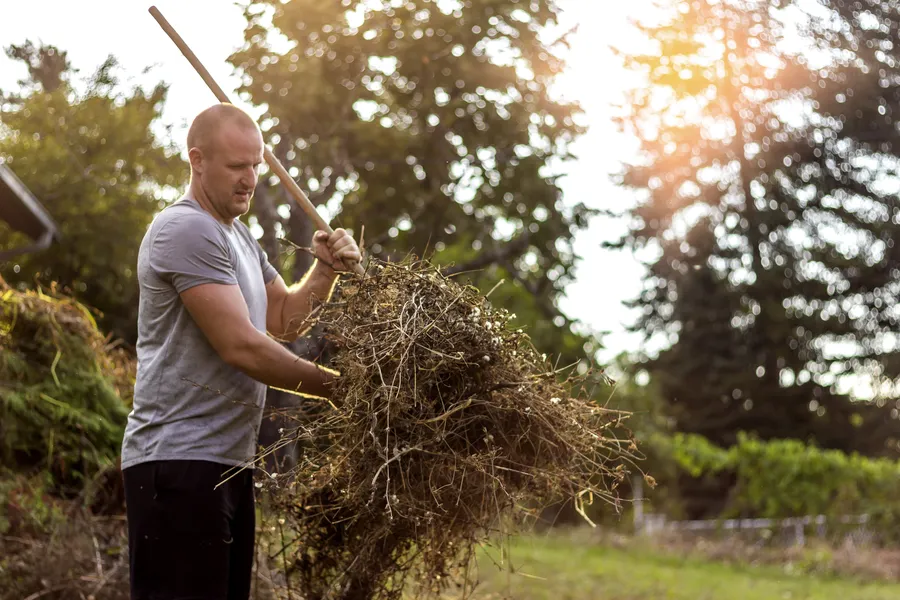 Key Benefits Of Professional Yard Cleaning Services in Hubbard, OR Key Benefits Of Professional Yard Cleaning Services in Hubbard, OR