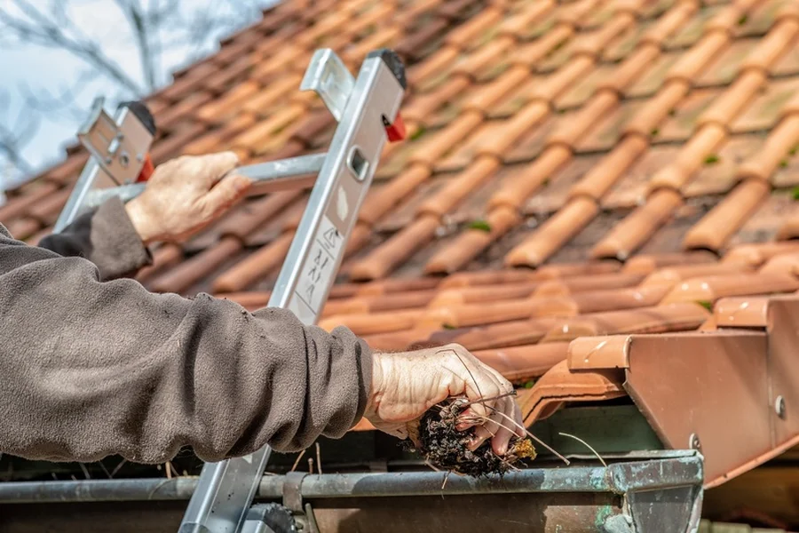 The Connection Between Gutter Cleaning And Pest Prevention in Hubbard, OR The Connection Between Gutter Cleaning And Pest Prevention in Hubbard, OR