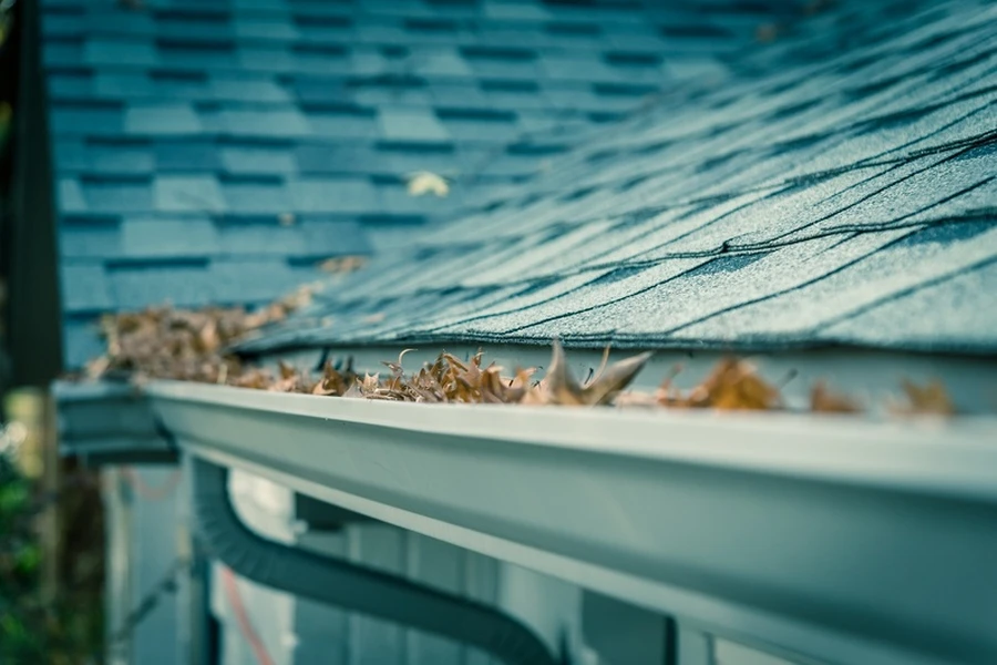 The Connection Between Gutter Cleaning And Pest Prevention in Hubbard, OR The Connection Between Gutter Cleaning And Pest Prevention in Hubbard, OR