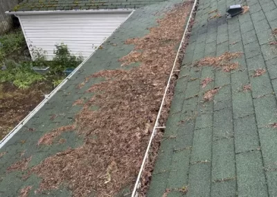 Reputable Commercial Pressure Washing