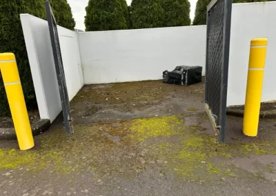 Reputable Home Pressure Washing